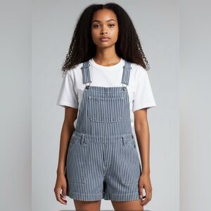 Wallflower Blue and White Striped Short Overalls